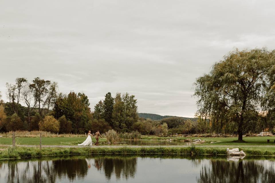 Ponds & views