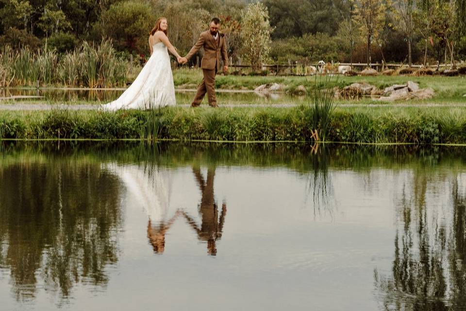 Reflections by the willow tree