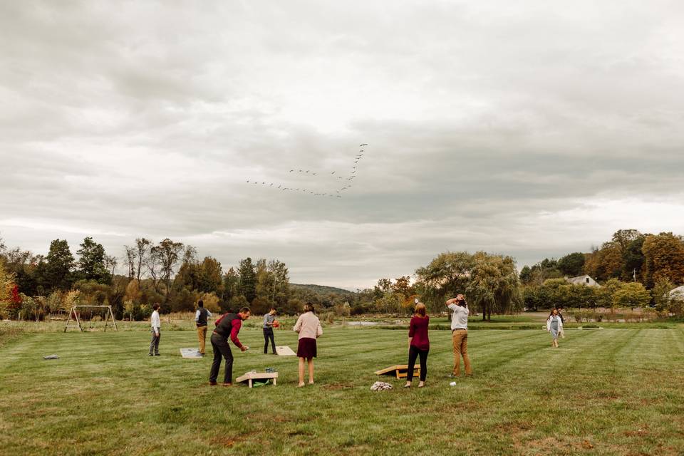 Huge lawn for lawn games