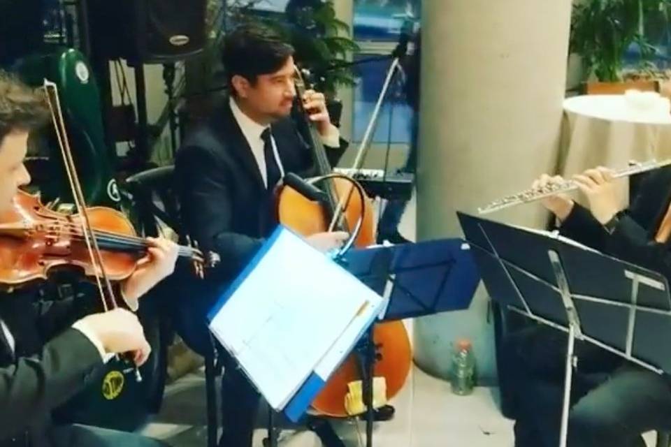 Flute, Violin and Cello Trio