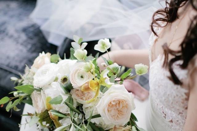 Our Premium bridal bouquet with blush garden roses, ranunculus, and the bride’s favorite hellebores wrapped in hand-dyed silk ribbon.