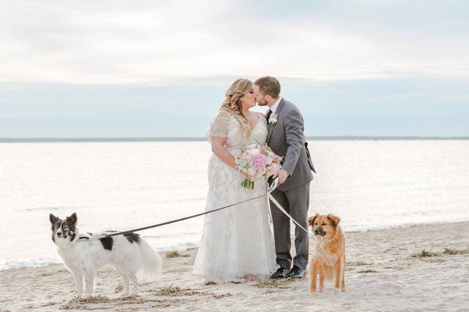 Beach photo featuring pups!