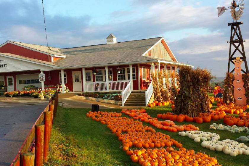 The Market at Ebbert Farms