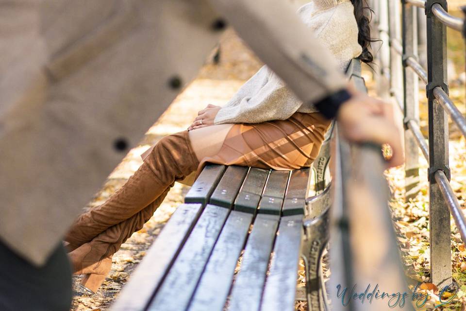 J&R New York Fall Engagement