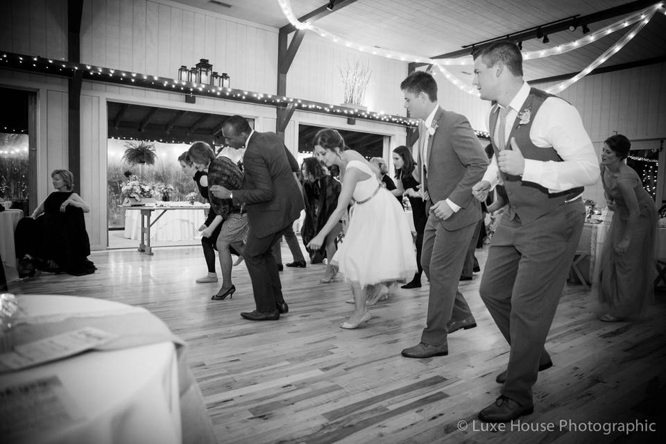 Dancing wedding guests