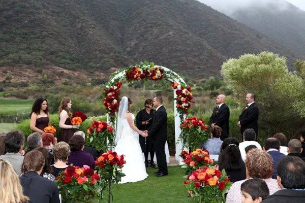 Wedding arch