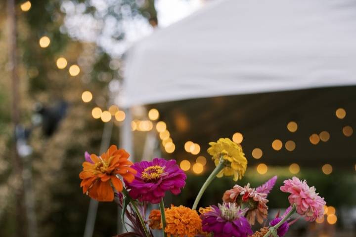 Bud vases