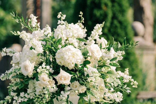 Avant Gardenia