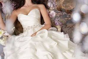 The White Magnolia Bridal Collection