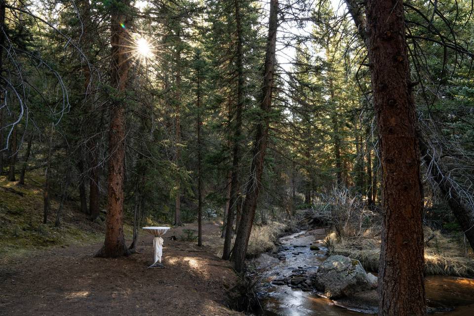 Mountain View Ranch - Willows