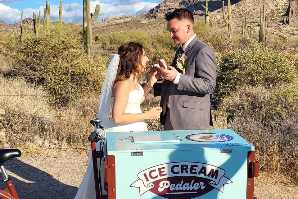 Ice Cream Pedaler