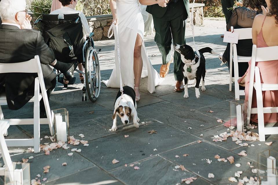 Zaida Gonzalez Photography