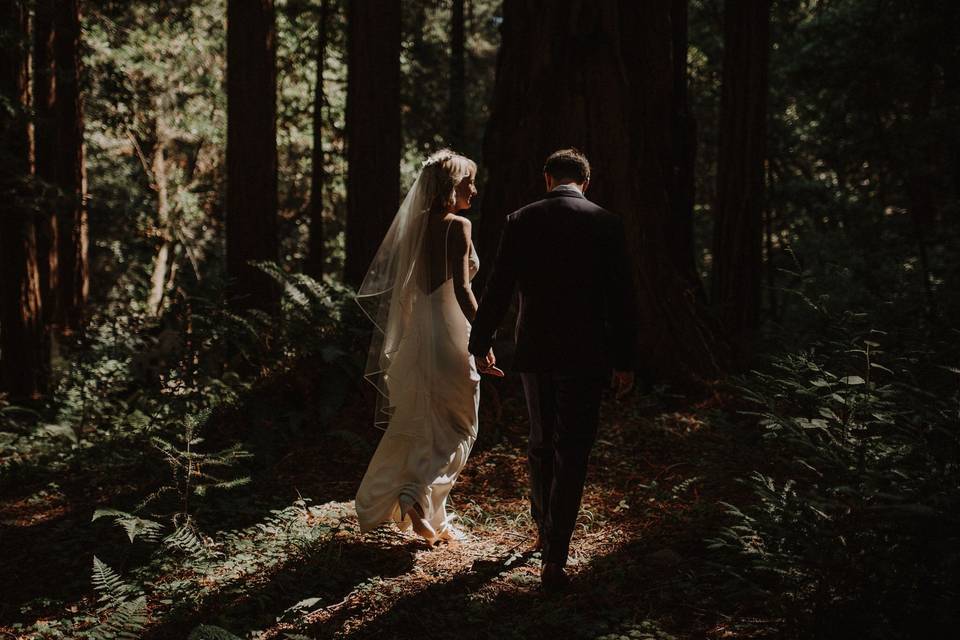Wedding in the Redwoods
