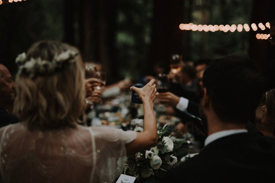 Reception in the Redwoods