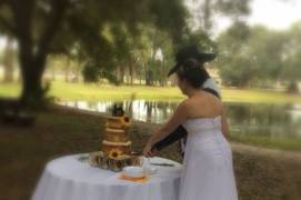 Chace's Cakes & Catering