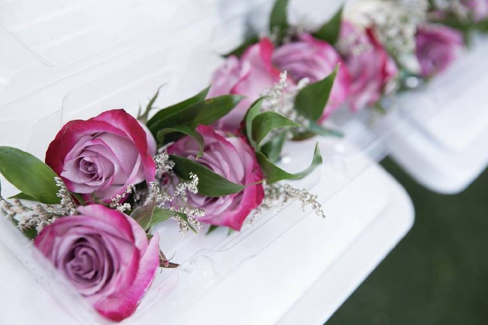 Rose flowers