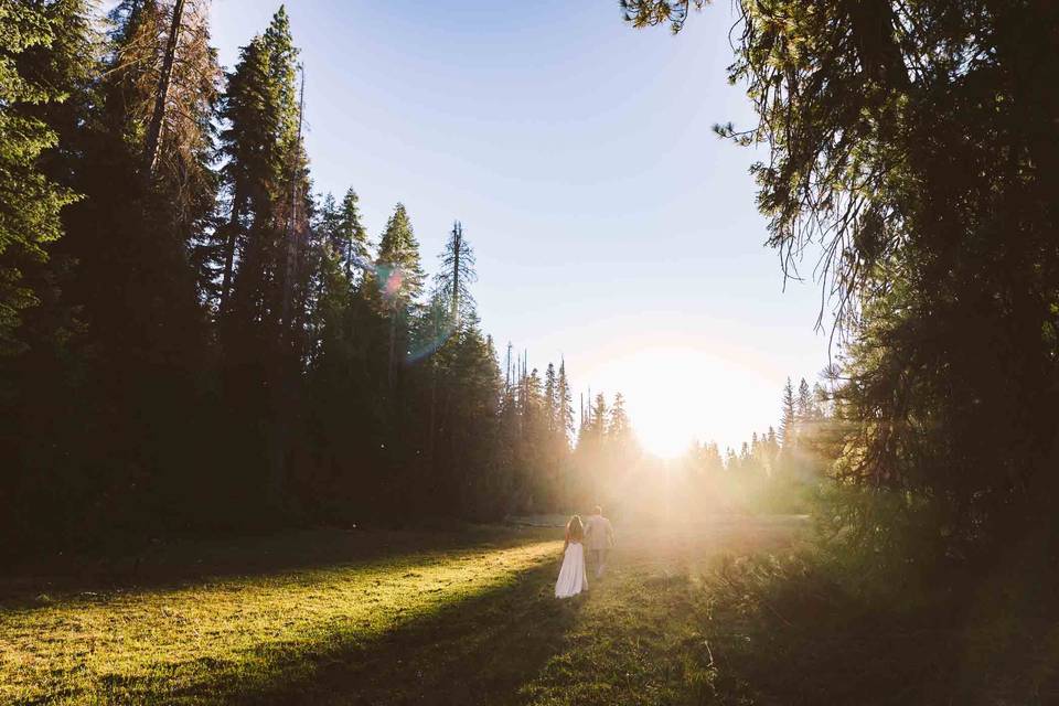 Last Light