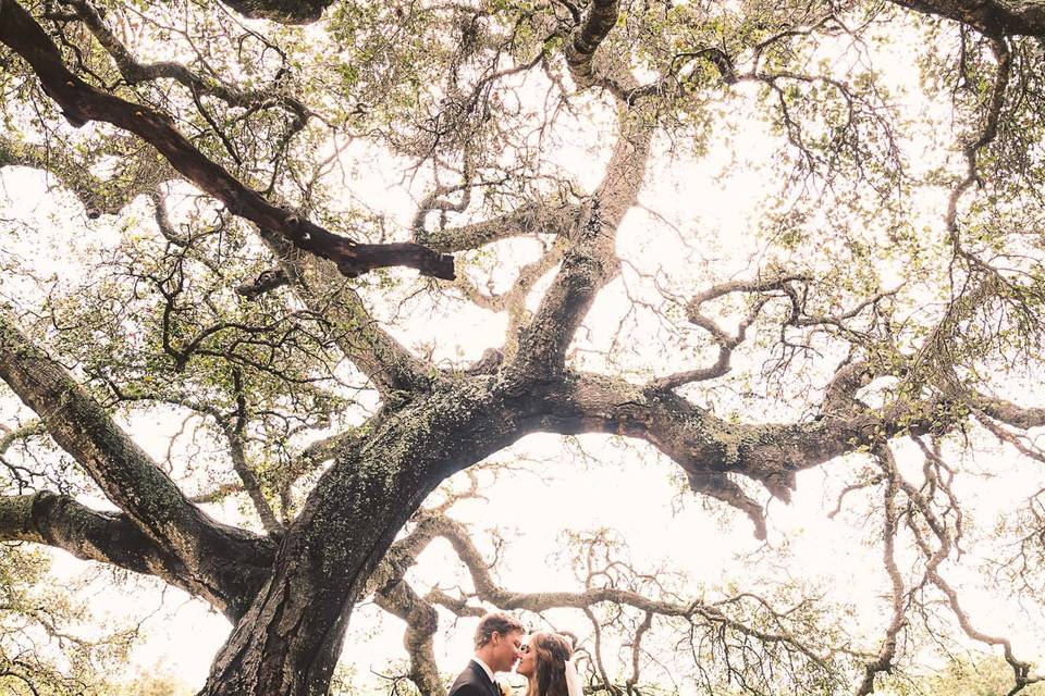 Love under a tree