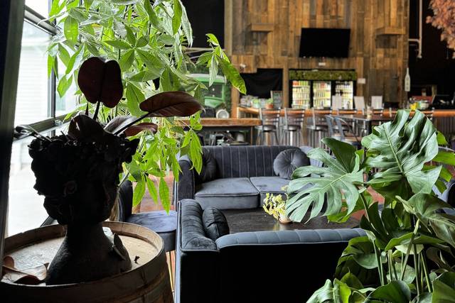 Rooted Lounge