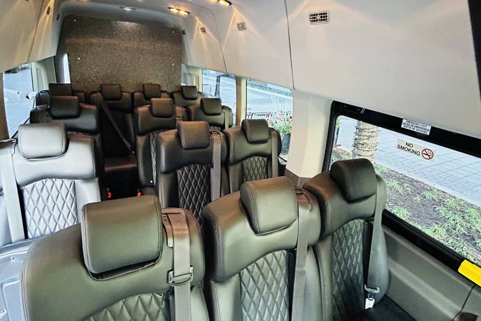 14 Passenger Executive Shuttle