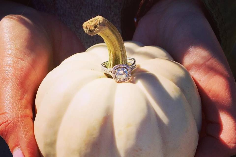 Ring on a pumpkin