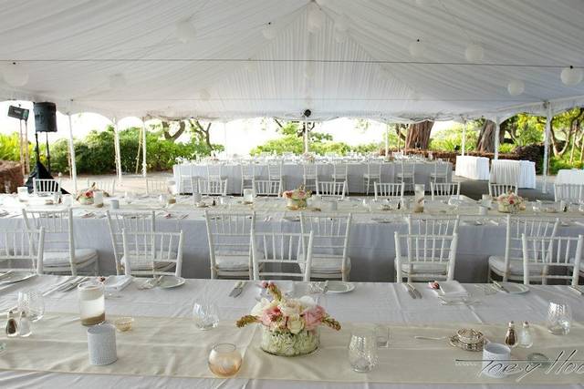 White Chiavari Chair - AER Tent & Event Rentals Inc