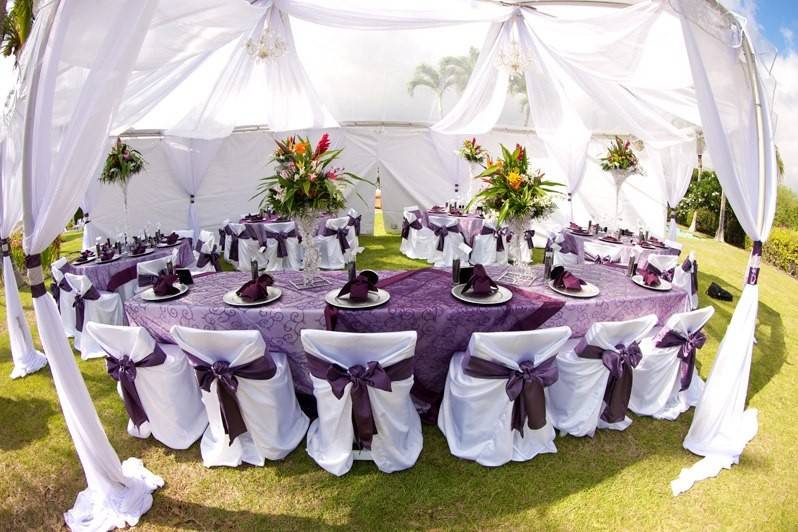 Violet table cloth