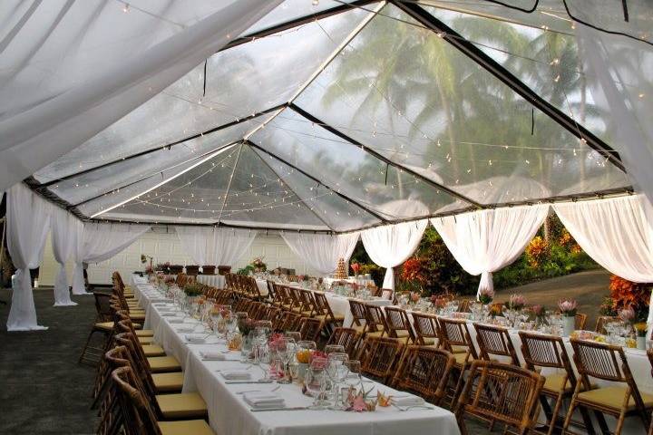 Violet table cloth