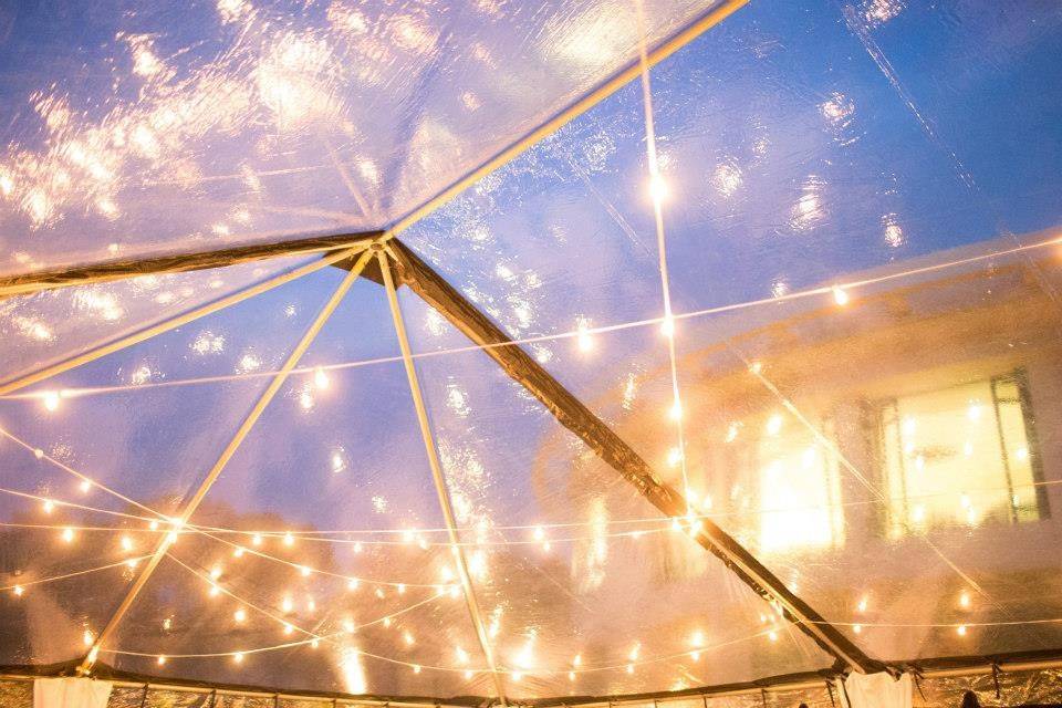 Fairy lights