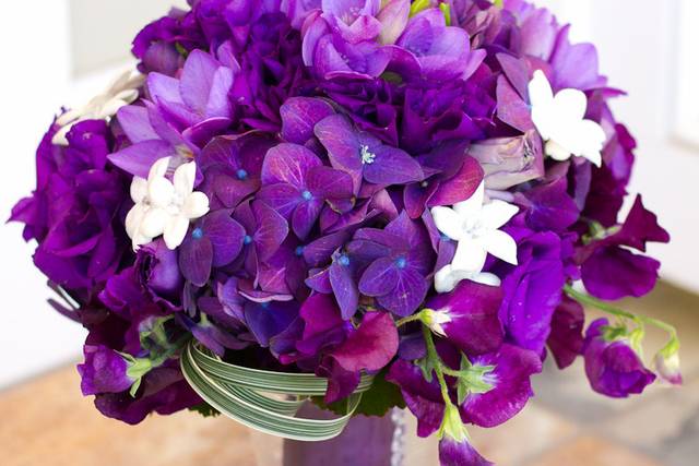 Shell Beach Floral Design by Amanda