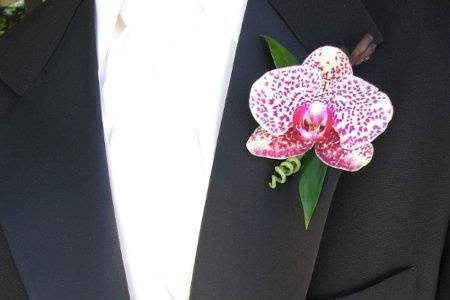 Phaleonopsis Boutonniere