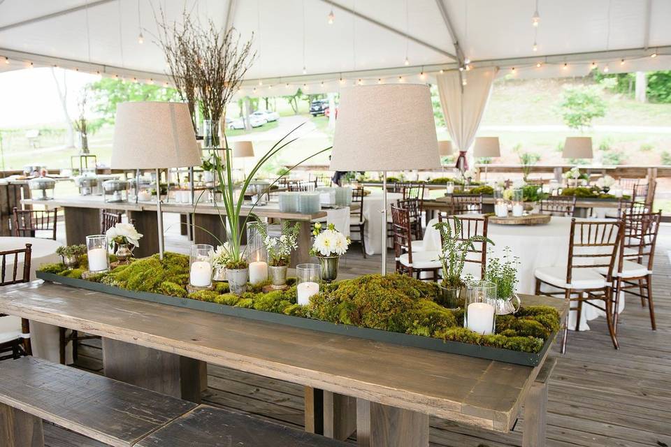 Reception setup outdoors