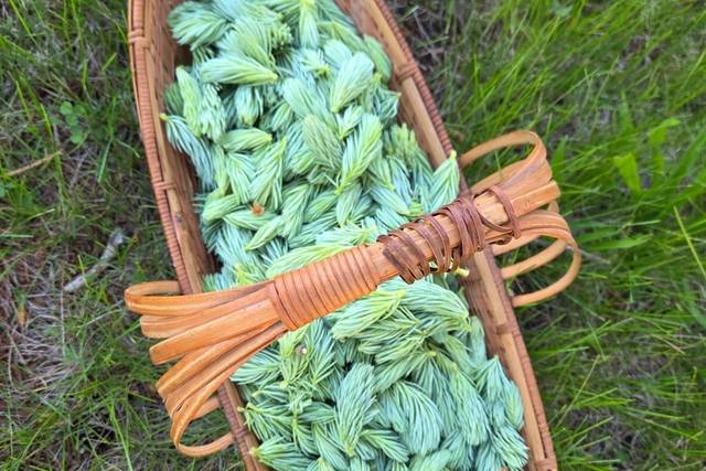Berries & Flour Bakery and Harvest Goods