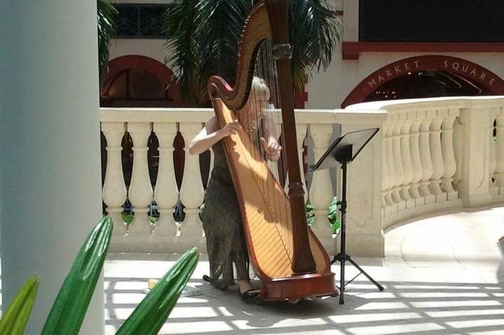 Harpist Victoria Lynn Schultz performing for a wedding ceremony at the Gaylord Palms Hotel and Convention Center