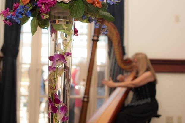 Harpist Victoria Lynn Schultz performing for an event at Universal's  Portofino Hotel