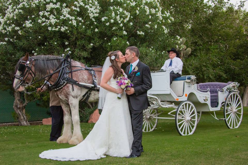 Our horse and carriage make a grand statement for your special day.