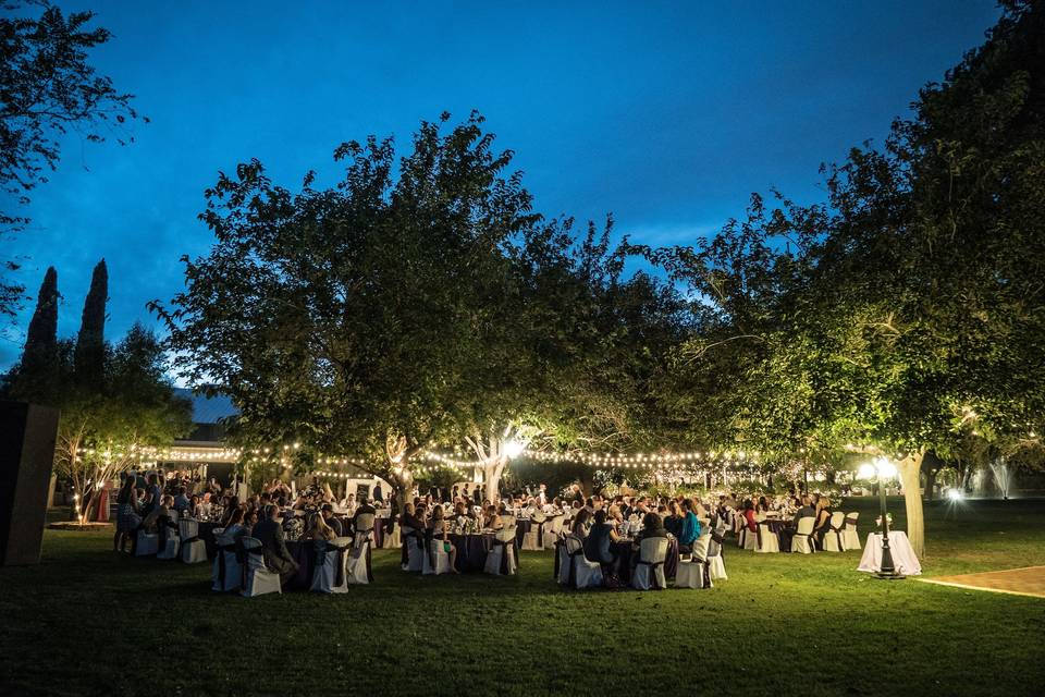 Dining at dusk