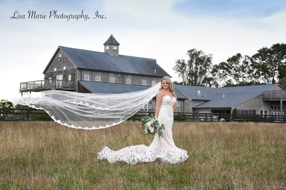 Vineyard Wedding-Lisa Marie