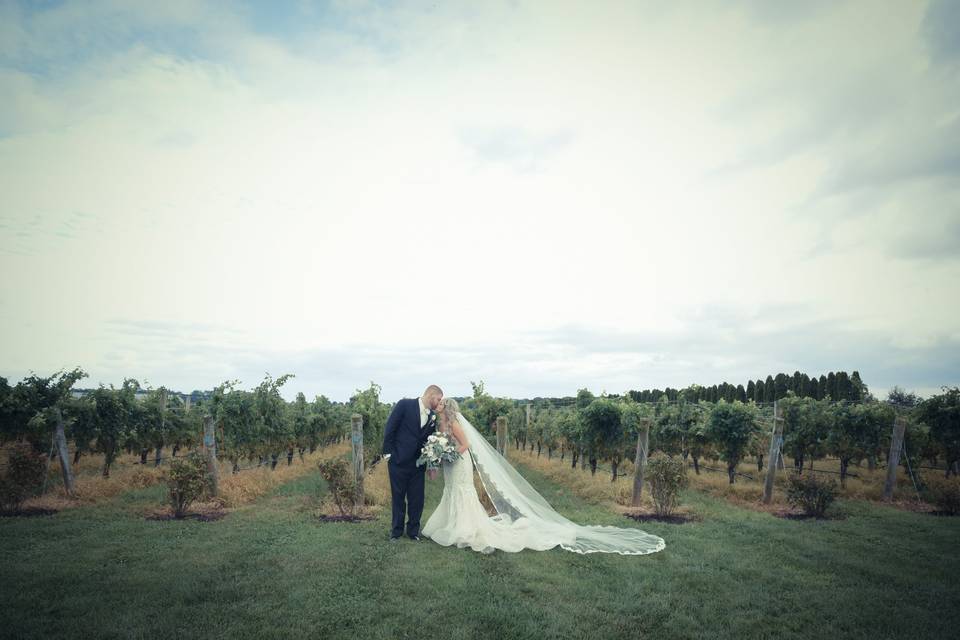 Vineyard Wedding-Lisa Marie