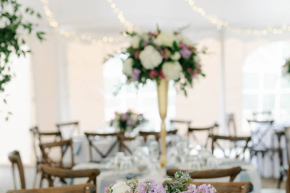 Orchid House Centerpieces