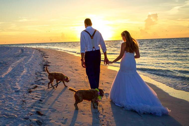 Bean Point, Anna Maria Island