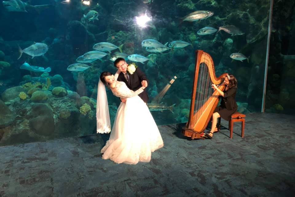 Two Brides - Fort DeSoto Park