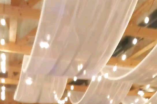 It Factor Live entertainment