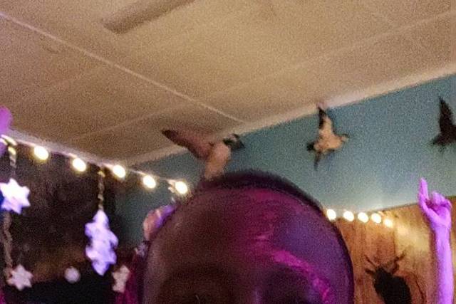 It Factor Live entertainment