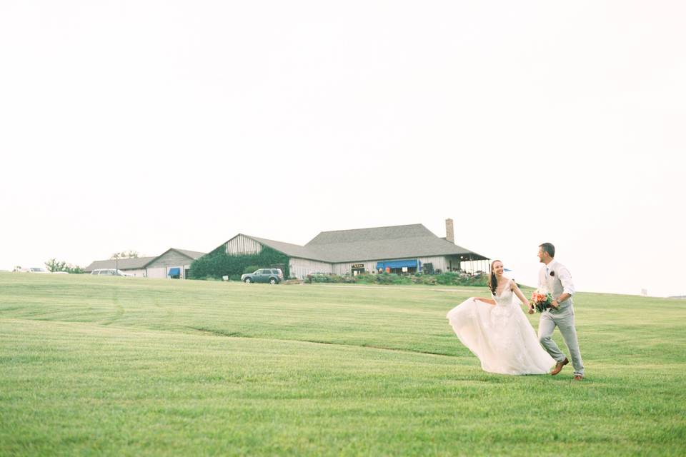 Variety of landscapes