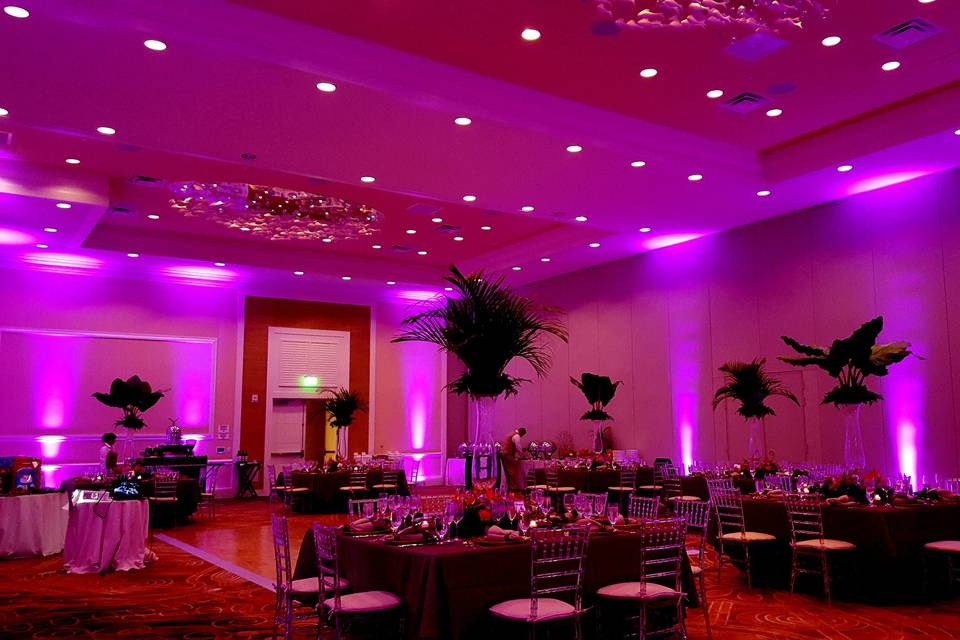 Prime Events and Productions Uplighting during reception.