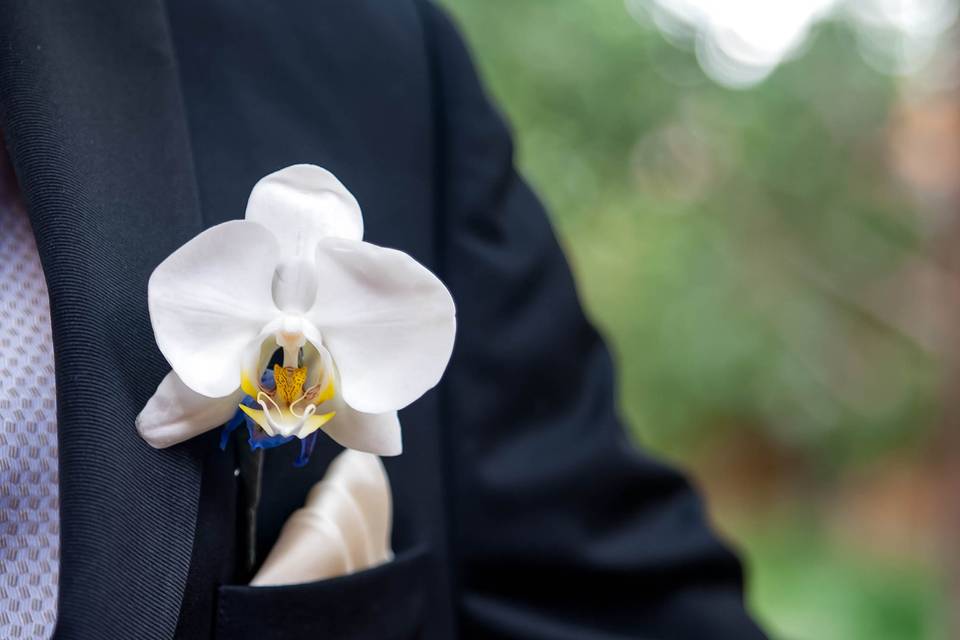 Orchid boutonnière