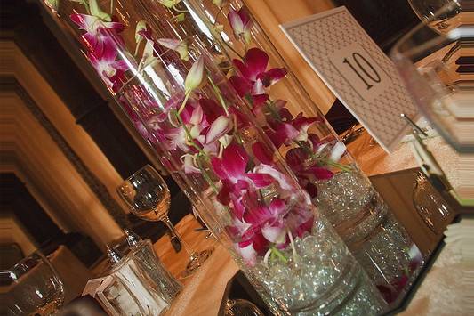 Orchids in a cylinder vase