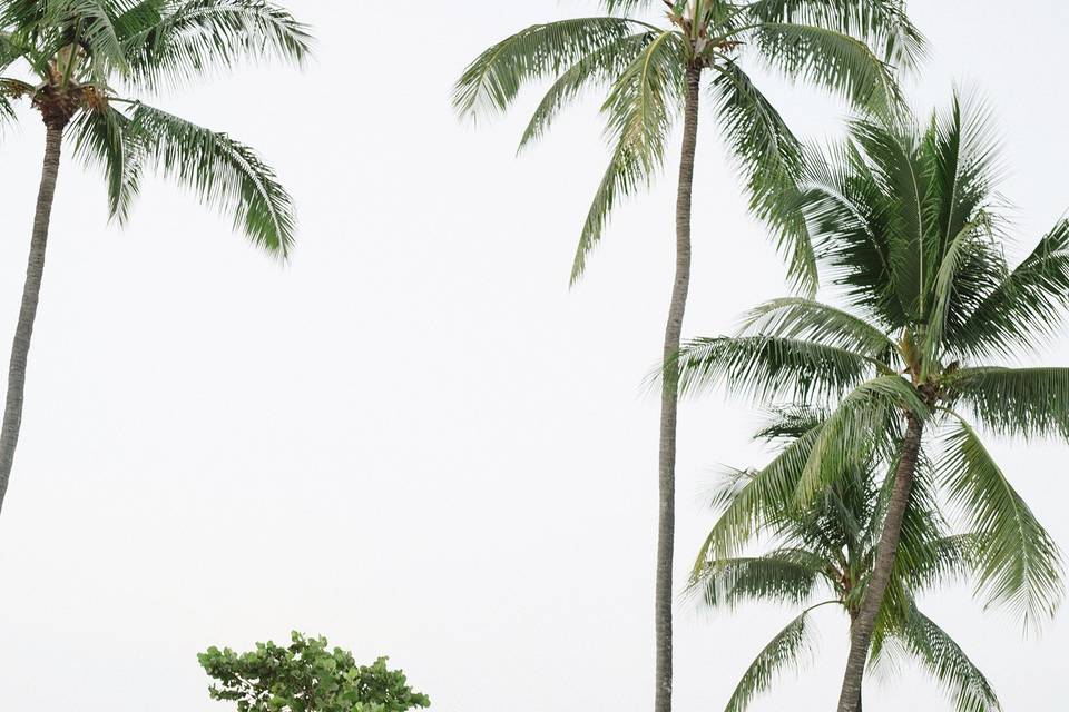 Beach wedding