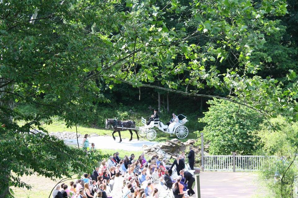 Horse and Carriage approaching the dock for ceremony.